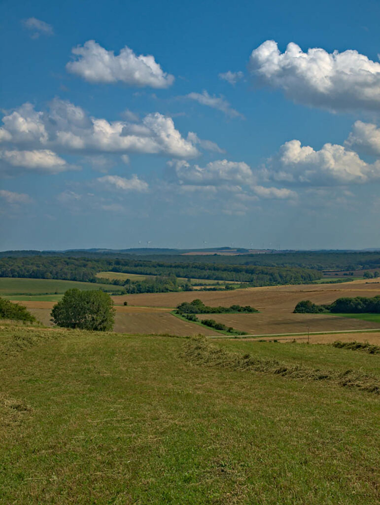 Panorama depuis le chemin près de la côte 310, à l'ouest de Chanville